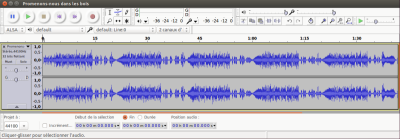 Audacity_ImpEcran2.png